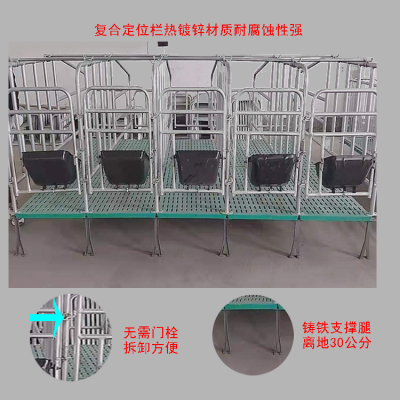 热镀锌母猪半散养定位栏 多种类型圆管定位栏 养猪设备限位栏