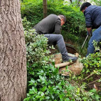 绍兴沉淀池干湿分离快速施工正规操作方法