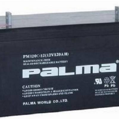 PALMAPM120-12 12V120AHֱ EPSԴ