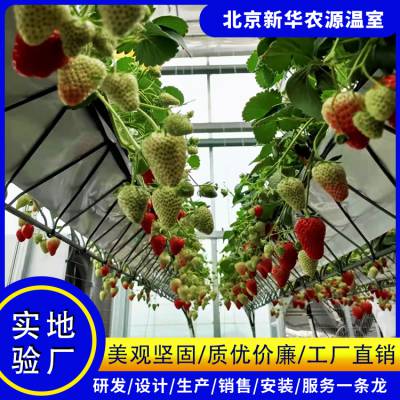 种植技术 草莓空中种植系统 空中草莓 北京新华农源