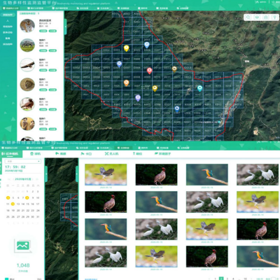 ⽣物多样性管理云平台 生态环境生物资源保护科技化监管