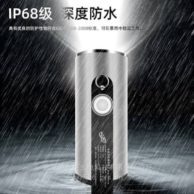 手提式防爆探照灯BW6100A DC12V-LED-3W锂电IP68 充电器 灯套 背带