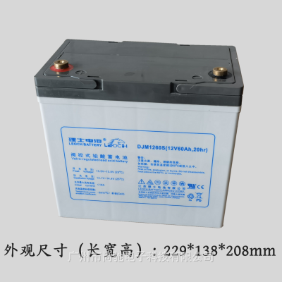 ʿLEOCHܴDJM1260S/12V60AHֱ UPSԴ 