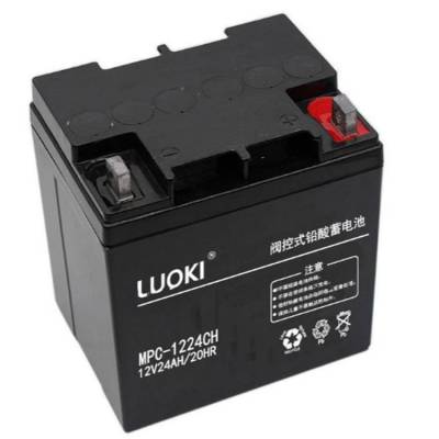 LUOKIMPC-1224CH 12V24AHݻUPS/EPS