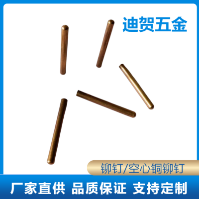 迪贺五金 电子机械铆钉 灯饰开关电器车灯用 支持定制