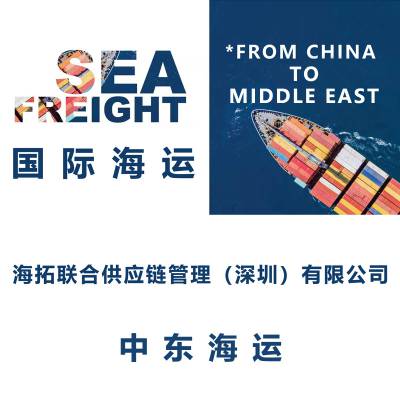 广州到沙特利雅得海运拼箱散货双清到门 国际物流专线Riyadh