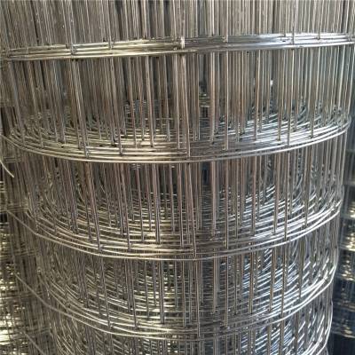 改拔电焊网 成都镀锌钢丝网 镀锌钢丝网围墙 养殖镀锌钢丝网