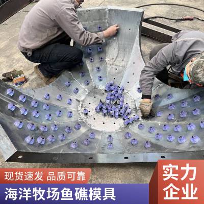 海洋开口的鱼礁模具生态型的人工礁石模具