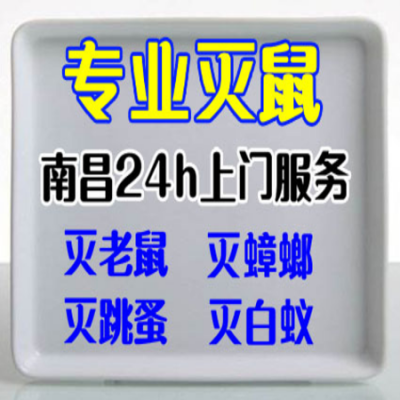 石城消杀公司 上门灭鼠杀虫 专业捉鼠捕鼠团队