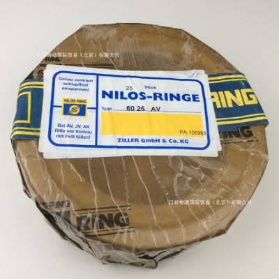 NILOS RING 尼罗斯 32207AV 金属 迷宫密封