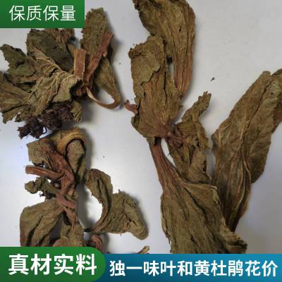 独一味根功效与作用 野生独一味根有卖 获证堂冷背药材供应奇弘堂