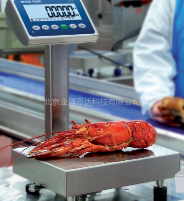 BBA238-8CC 托利多电子台秤