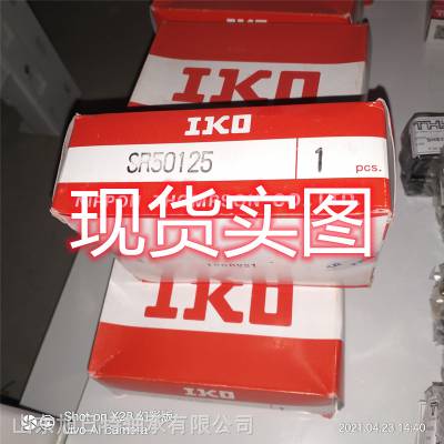 SR50125ƽ IKO