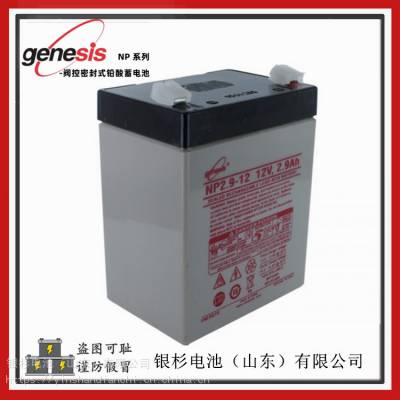 霍克Genesis蓄电池NP2.9-12精密仪器 医疗设备用12V-2.9AH蓄电池