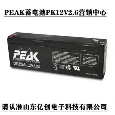 PEAK蓄电池PK12V65 12V65AH铅酸储能型产品 营销中心