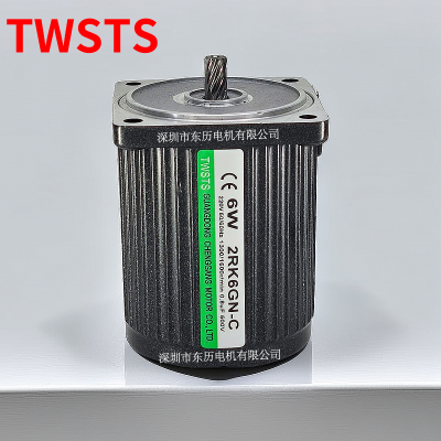 TWSTW电机2RK6GN-C GUANGDONG CHENGGANG MOTOR 6W 220V