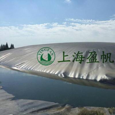 沼气池防渗膜 垃圾填埋场土工膜 尾矿填埋 沼液池土工膜 糙面土工膜