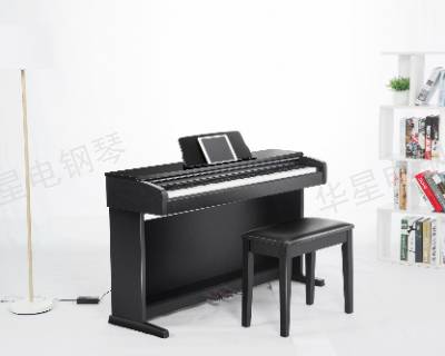 安徽哪种品牌电钢琴什么价格 和谐共赢 上海华新乐器供应