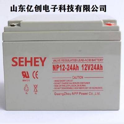 SEHEYNP24-1212V24AHӦϵͳ