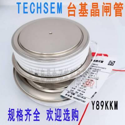TECHSEM̨ɿعY89KKM KK3000A4000V 4500V4800V