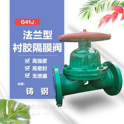 ֶĽĤ ͸ G41J-16C DN80WCBֲ