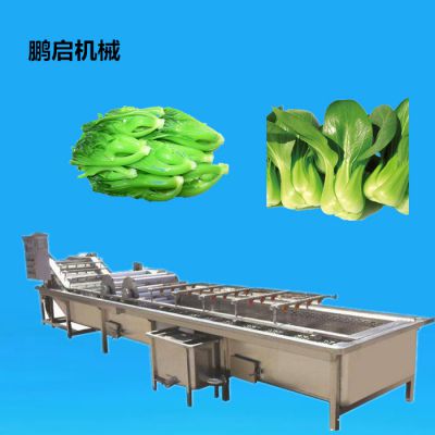 Ƥϴëϴ豸