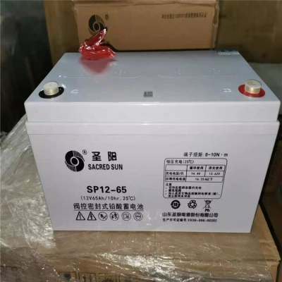杭州圣阳蓄电池SP12-65/12V65AH技术参数 包税包邮