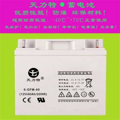 TIANLITE天力特蓄电池6-GFM-40 12V40AH UPS电源EPS直流屏用