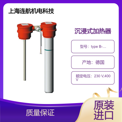 ROTKAPPE沉浸式加热器type B系列 可直接加热方式