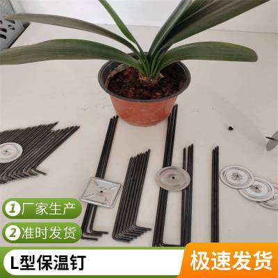 锅炉炉体用 L型保温钉 不锈钢保温钩钉 多种规格 加工定制