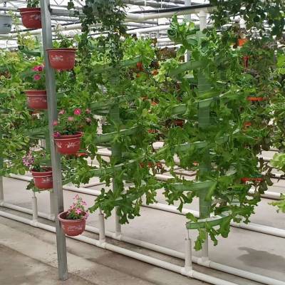 投资中国就是投资未来”的生动诠释