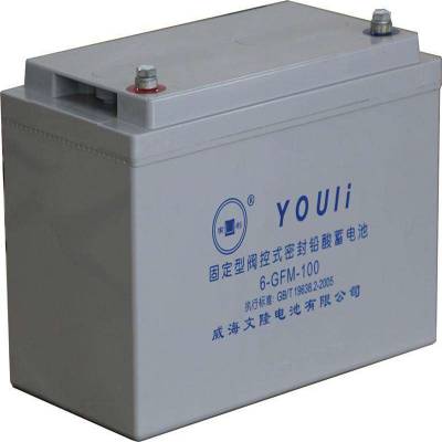 ʯׯYOULI¡6-GFM-2412V24AH