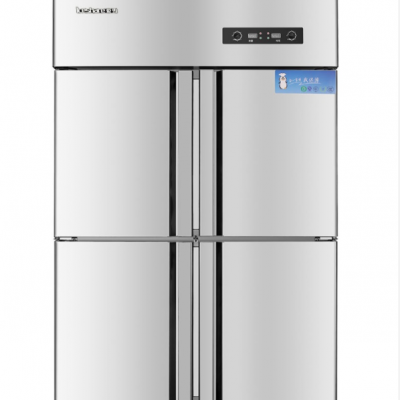 南阳爱雪四开门全冷冻展示柜商用工程款冷冻展示柜品牌