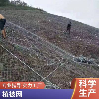 镀锌铁丝网围栏养殖鸡鸭防护网格勾花网养狗护栏钢丝网牛羊隔离网