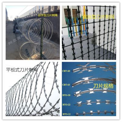 安平县镀锌丝刀片刺绳 支持定做各种型号的刀片刺绳厂家