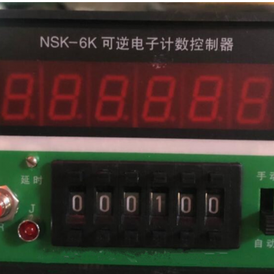 可逆电子计数器 型号SST10/NSK-6K/NSK-4K 库号M398626