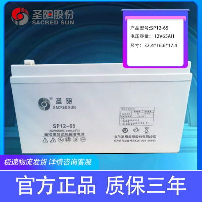 风能发电储能型蓄电池 SP12-65圣阳品牌型号12V6***H