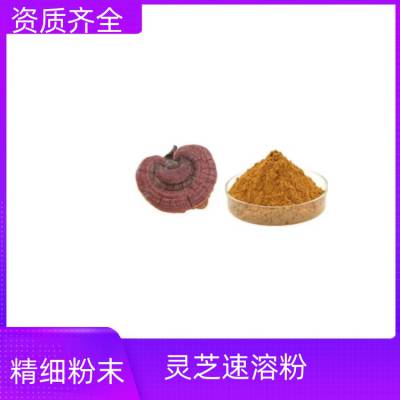 灵芝速溶粉 资质齐全 水溶性好 多种规格10:1 可定制生产