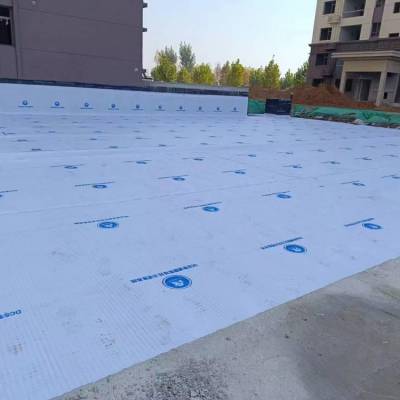 郑州海绵城市车库顶板虹吸排水PVC和PE排水板纯原生料厂家