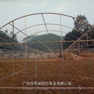 ŴǼ ֲ˴Ǽ ֳǼܳ