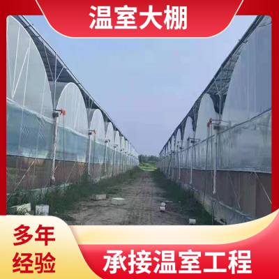 东莞东坑 建造蔬菜温室 圆弧大棚定做 中科 ZKDK-01