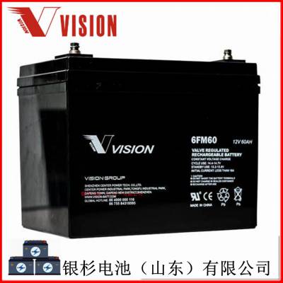 ԭװVision6FM60UPSԴ ϵͳ12V-60AHǦ