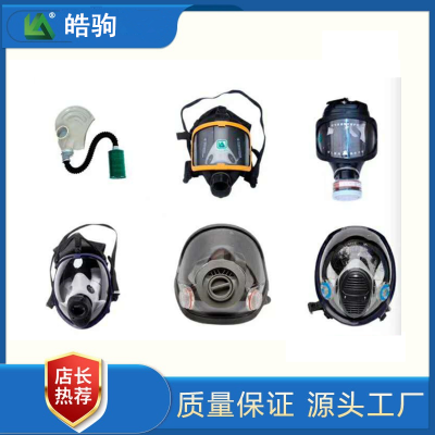皓驹科技 过滤式防毒面具HJF05防毒防化面具 大视野面具 便携式全面型呼吸防护器面罩