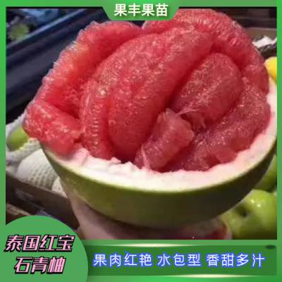 ̫ˣһӹƤɫɫ ̩챦ʯ