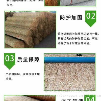 生态防护毯-椰丝毯-各种型号草籽椰丝毯-高边坡防护-河道河堤治理