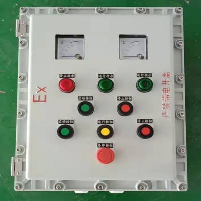 防爆配电箱防爆动力照明电源开关箱防爆仪表检修控制箱按钮操作箱乐清