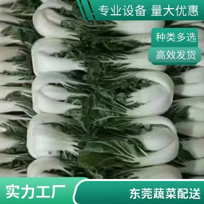 批发各类有机蔬菜配送_东莞蔬菜配送供应_首宏膳食配送蔬菜水果