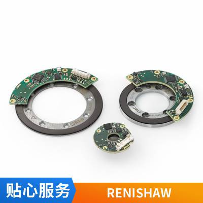 Renishaw 雷尼绍直线光栅尺 分辨率1nm 值/增量 长行程 现货