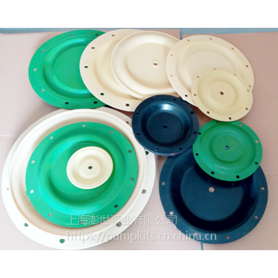 92973-B ӢĤĤƬ ƺĤƬ PUMP KITS