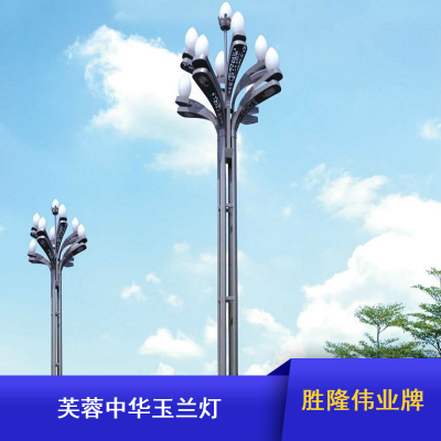 00胜隆伟业牌芙蓉中华玉兰灯_成都街道12m玉兰灯厂家供应四川 什邡市